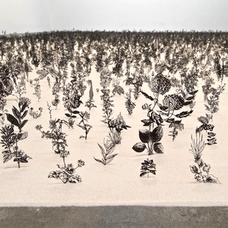 Illustration for article titled A vision of flower gardens after the eco-apocalypse